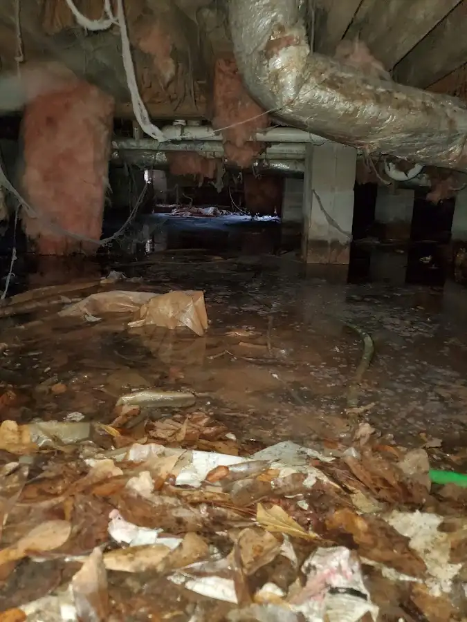 Crawl space flood assessment for Leak Detection & Repair in Gresham Park